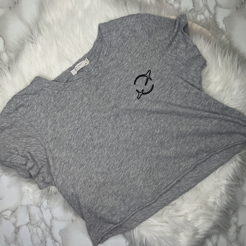 Rag & Bone Gray Cropped Planet Tee Size Medium